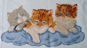 Gattini Punto Croce